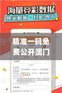 精准一码免费公开澳门,最新核心解答落实_9DM1.614