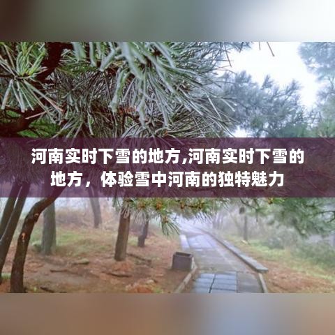 河南雪中实时探访，雪中河南的独特魅力体验