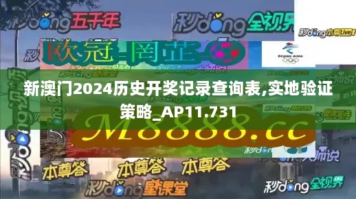 新澳门2024历史开奖记录查询表,实地验证策略_AP11.731