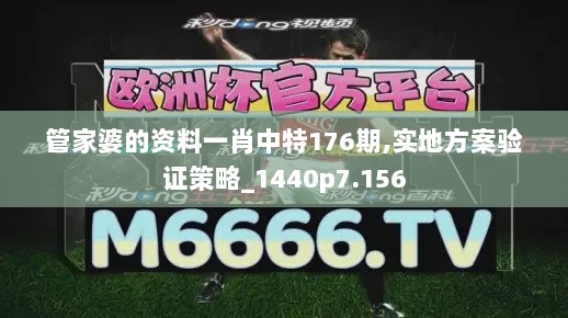 管家婆的资料一肖中特176期,实地方案验证策略_1440p7.156