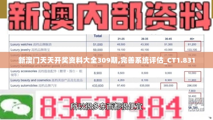 新澳门天天开奖资料大全309期,完善系统评估_CT1.831