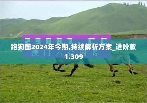 跑狗图2024年今期,持续解析方案_进阶款1.309