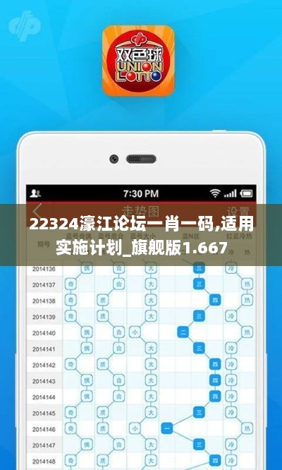 22324濠江论坛一肖一码,适用实施计划_旗舰版1.667