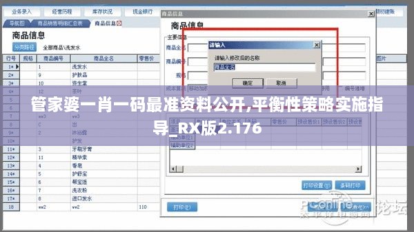 管家婆一肖一码最准资料公开,平衡性策略实施指导_RX版2.176