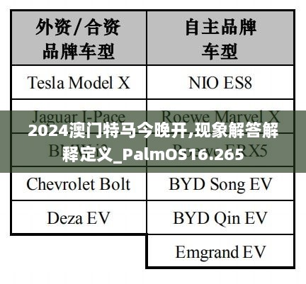 2024澳门特马今晚开,现象解答解释定义_PalmOS16.265