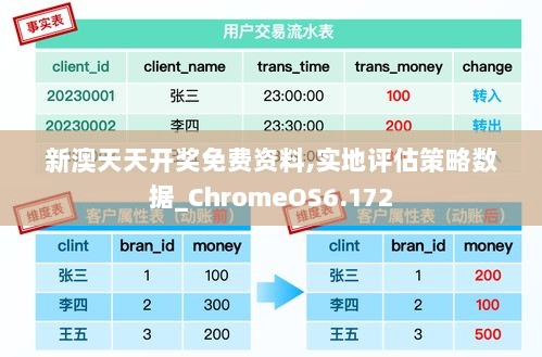 新澳天天开奖免费资料,实地评估策略数据_ChromeOS6.172