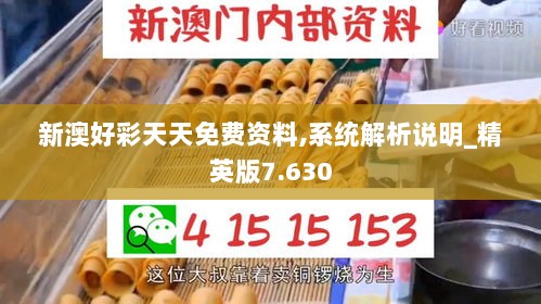 新澳好彩天天免费资料,系统解析说明_精英版7.630