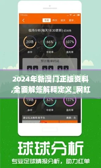 2024年新澳门正版资料,全面解答解释定义_网红版9.246