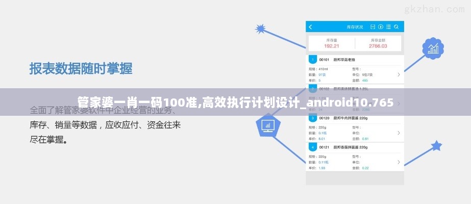 管家婆一肖一码100准,高效执行计划设计_android10.765