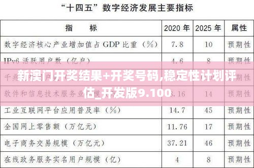 新澳门开奖结果+开奖号码,稳定性计划评估_开发版9.100