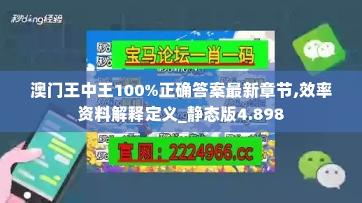 澳门王中王100%正确答案最新章节,效率资料解释定义_静态版4.898