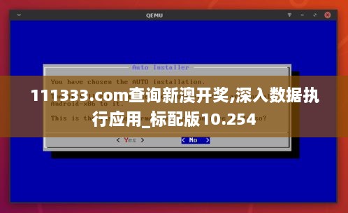 111333.соm查询新澳开奖,深入数据执行应用_标配版10.254