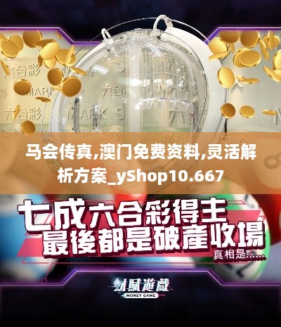 马会传真,澳门免费资料,灵活解析方案_yShop10.667