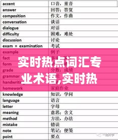 小红书热门话题解析，实时热点词汇与专业术语探讨