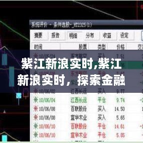 紫江新浪实时，探索金融市场脉搏与趋势的先锋报道