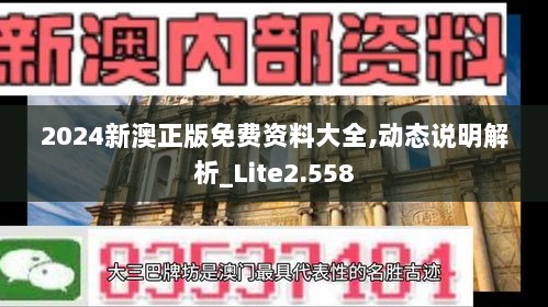 2024新澳正版免费资料大全,动态说明解析_Lite2.558