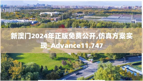 新澳门2024年正版免费公开,仿真方案实现_Advance11.747