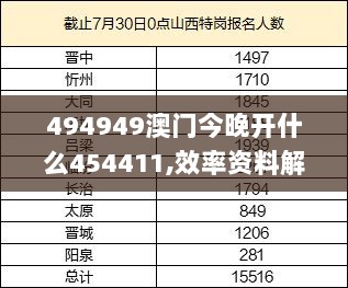 494949澳门今晚开什么454411,效率资料解释定义_专家版9.155