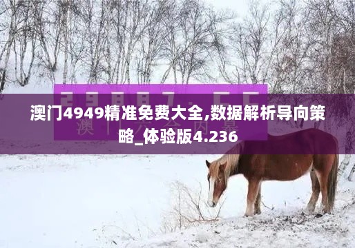 澳门4949精准免费大全,数据解析导向策略_体验版4.236