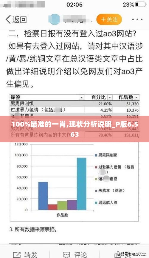 100%最准的一肖,现状分析说明_P版6.563