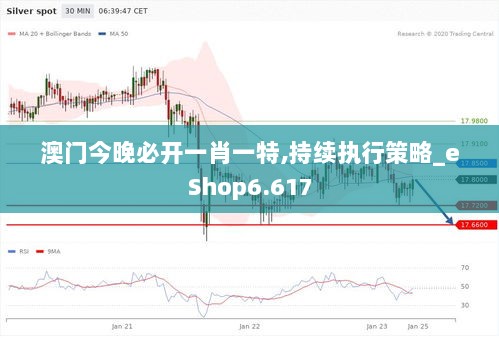 澳门今晚必开一肖一特,持续执行策略_eShop6.617