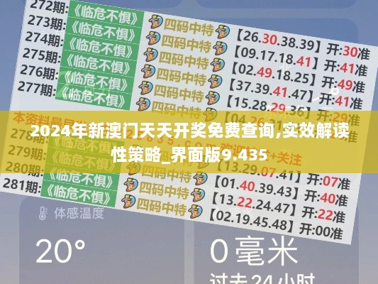 2024年12月17日 第28页