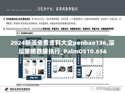 2024新澳免费资料大全penbao136,深层策略数据执行_PalmOS10.656