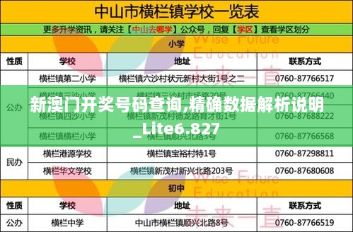 新澳门开奖号码查询,精确数据解析说明_Lite6.827