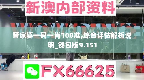 管家婆一码一肖100准,综合评估解析说明_钱包版9.151