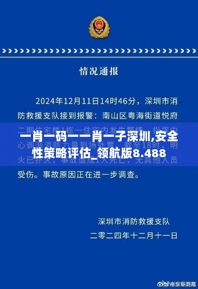 一肖一码一一肖一子深圳,安全性策略评估_领航版8.488