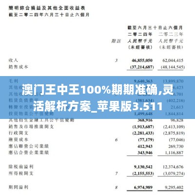 澳门王中王100%期期准确,灵活解析方案_苹果版3.511