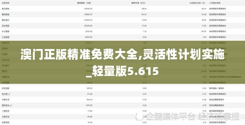 澳门正版精准免费大全,灵活性计划实施_轻量版5.615