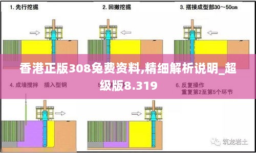 香港正版308兔费资料,精细解析说明_超级版8.319