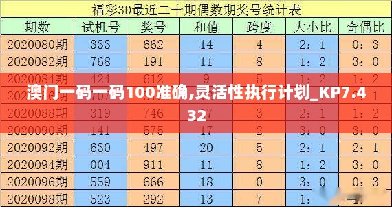 澳门一码一码100准确,灵活性执行计划_KP7.432