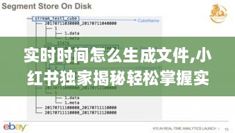小红书独家揭秘，实时时间生成文件技巧秘籍！