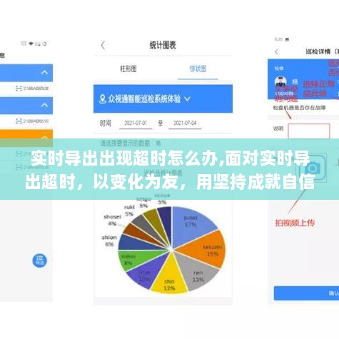 实时导出超时应对策略，变化中的坚持成就自信与智慧之旅
