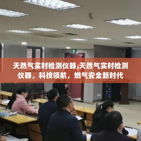 天然气实时检测仪器，科技领航，燃气安全新时代的守护者