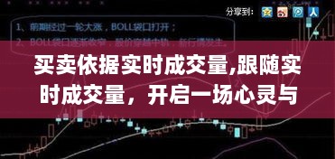 跟随实时成交量，开启美丽邂逅之旅，买卖依据背后的探索与启示