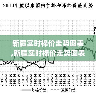 新疆实时棉价走势图表及分析