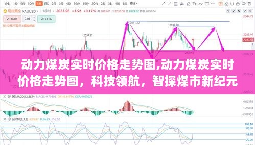 科技领航，动力煤炭实时价格走势图，探索煤市新纪元动态