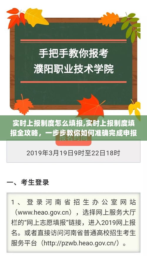 实时上报制度填报全攻略，一步步教你准确完成申报任务