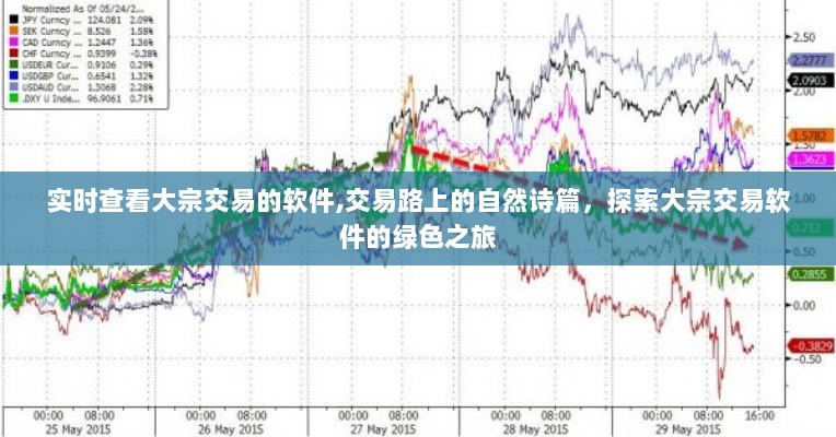 实时大宗交易软件探索，绿色交易之旅与自然诗篇