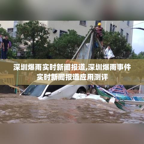 深圳暴雨实时新闻报道与应用测评