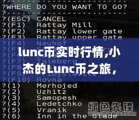 Lunc币之旅，实时行情与数字世界的温情时光