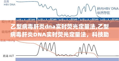 乙型病毒肝炎DNA实时荧光定量法，科技赋能精准诊疗