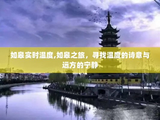 如皋的温度诗意与远方宁静之旅实时播报