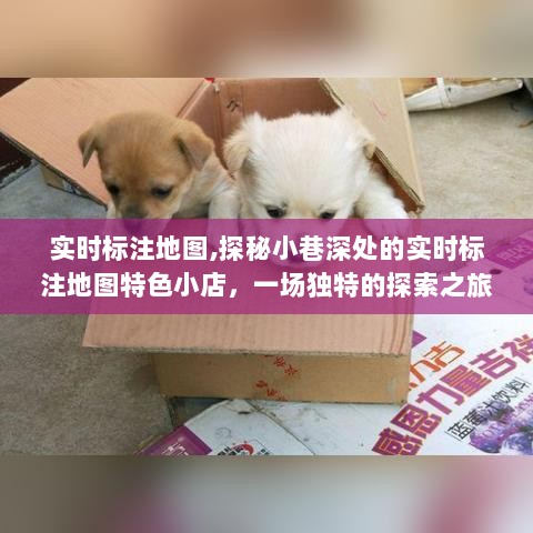 实时标注地图，探索小巷深处的特色小店之旅