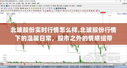 北玻股份实时行情解析与股市外的情感纽带