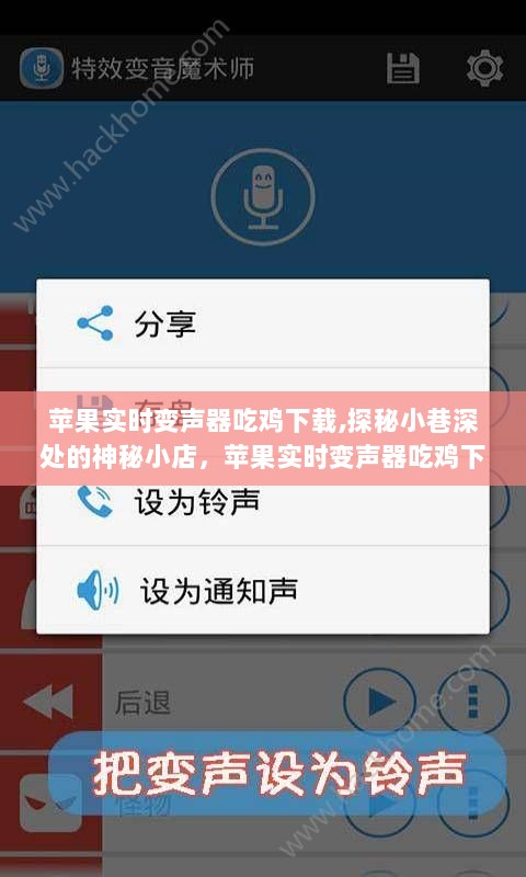 探秘神秘小店，苹果实时变声器吃鸡下载之旅