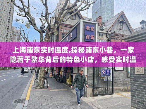 上海浦东实时温度探秘，隐藏在繁华小巷的特色小店魔力之旅